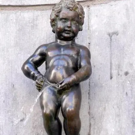 Apartament Rive Gauche L Centre - Gare - Aeroport